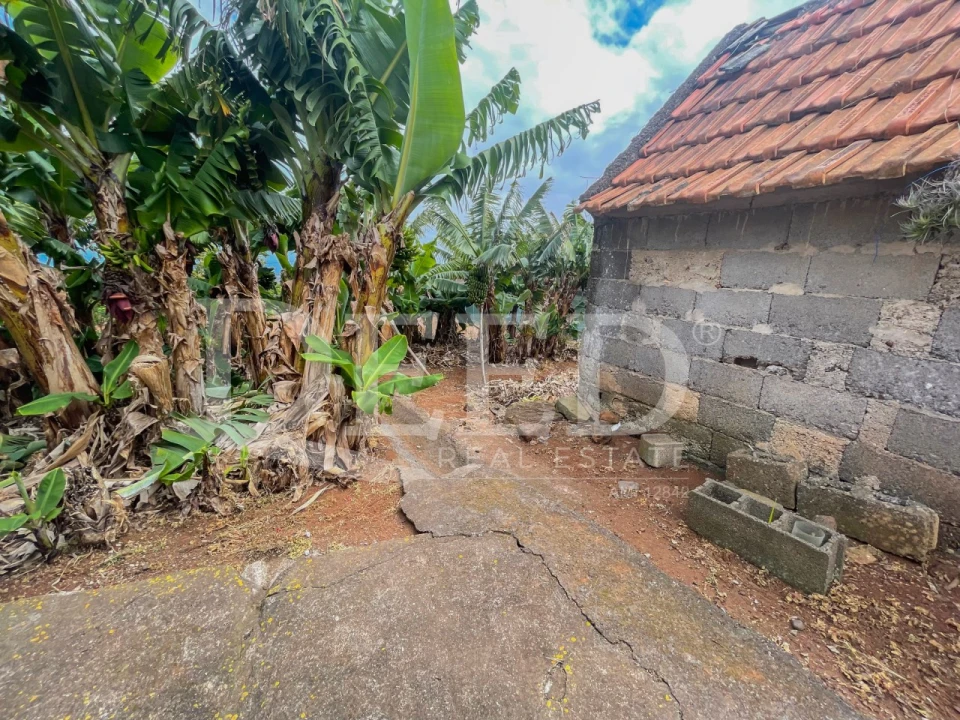 Terreno para Venda em São Jorge Foto 7