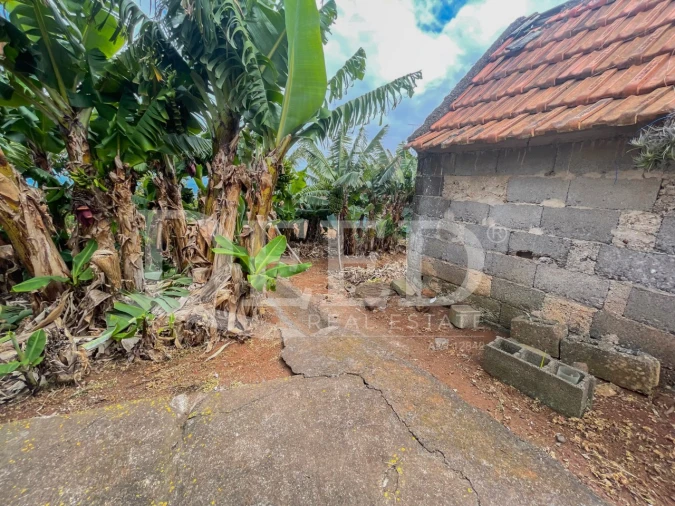 Terreno para Venda em São Jorge Foto 7