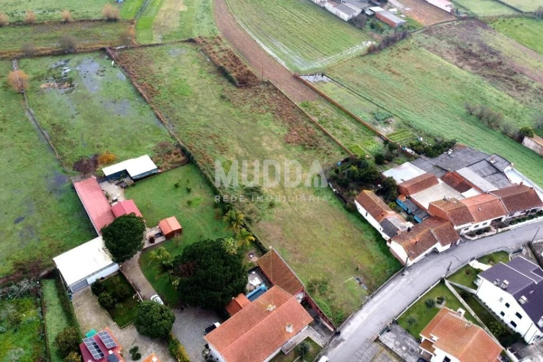 Terreno para Venda em Beduído e Veiros Foto 4