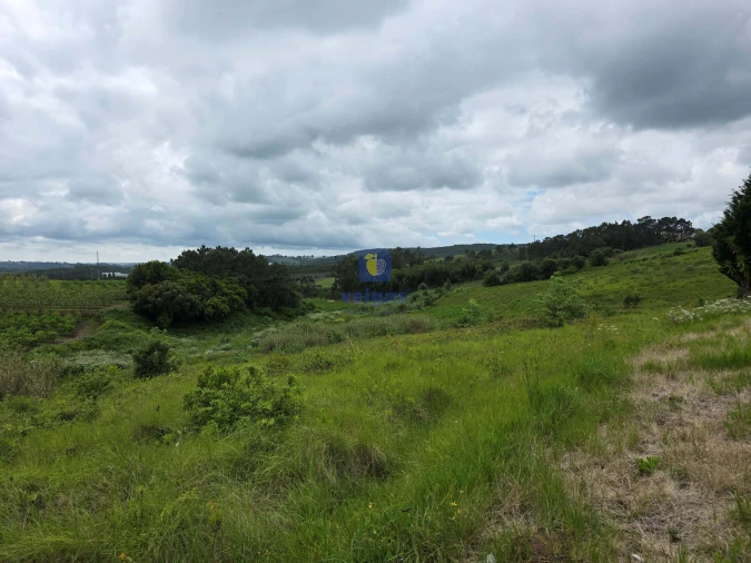 Moradia T3 para Venda em Caldas da Rainha - Santo Onofre e Serra do Bouro Foto 7
