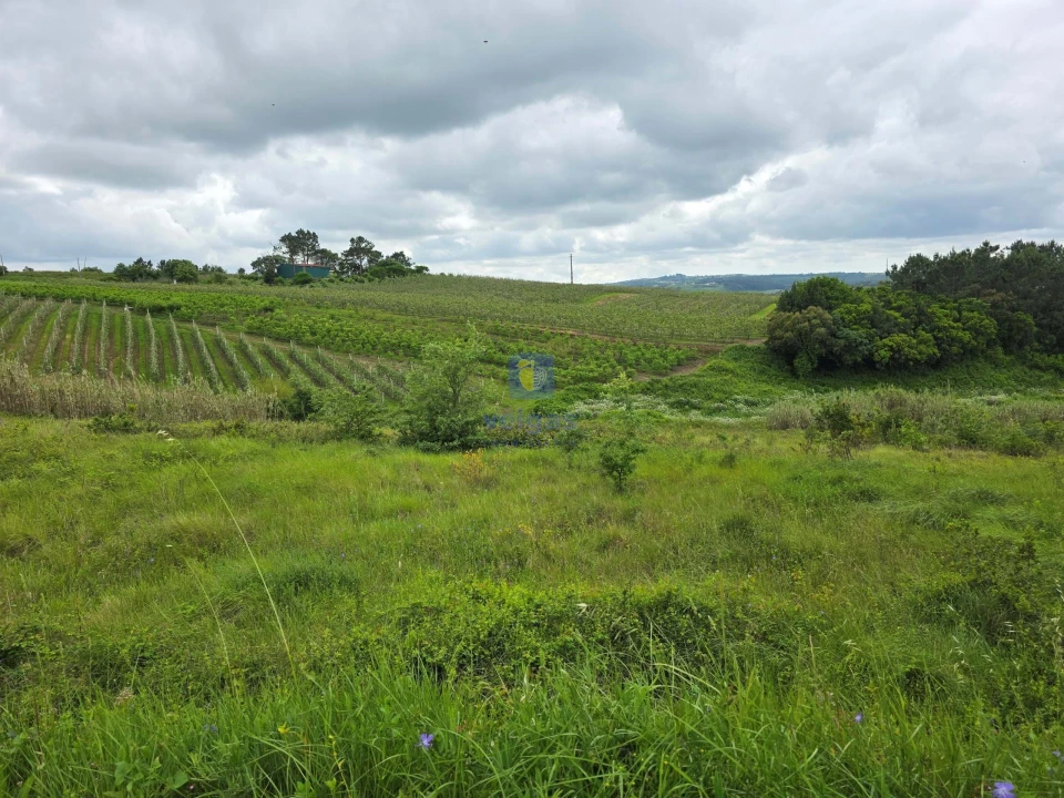 Terreno para Venda em Caldas da Rainha - Santo Onofre e Serra do Bouro Foto 5