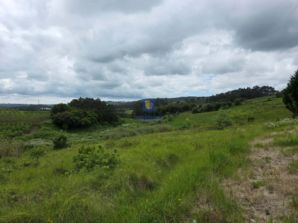 Terreno para Venda em Caldas da Rainha - Santo Onofre e Serra do Bouro Foto 7