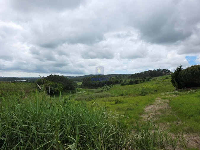 Terreno para Venda em Caldas da Rainha - Santo Onofre e Serra do Bouro Foto 9