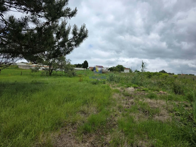 Terreno para Venda em Caldas da Rainha - Santo Onofre e Serra do Bouro Foto 8