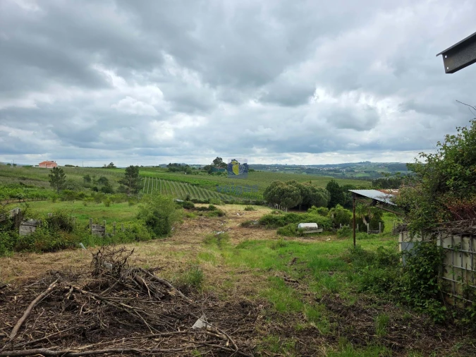 Terreno para Venda em Caldas da Rainha - Santo Onofre e Serra do Bouro Foto 14