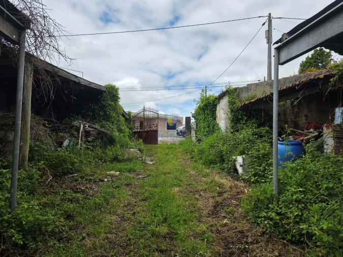 Terreno para Venda em Caldas da Rainha - Santo Onofre e Serra do Bouro Foto 16