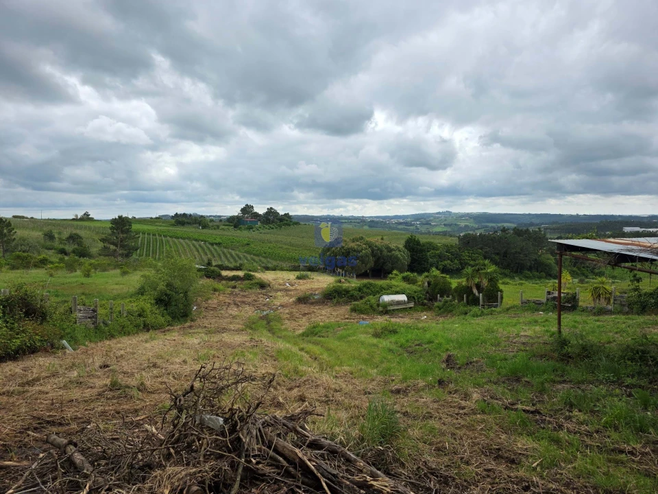 Terreno para Venda em Caldas da Rainha - Santo Onofre e Serra do Bouro Foto 15