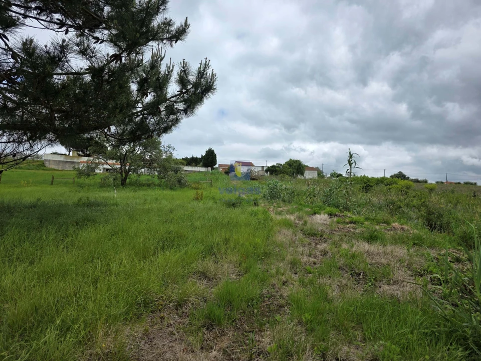 Terreno para Venda em Caldas da Rainha - Santo Onofre e Serra do Bouro Foto 8
