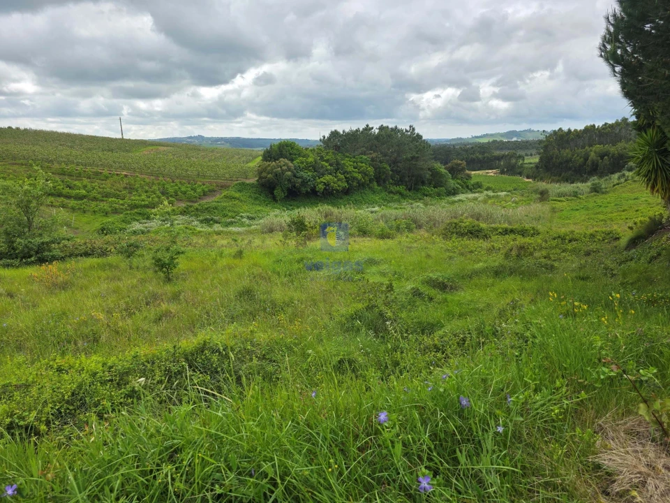 Terreno para Venda em Caldas da Rainha - Santo Onofre e Serra do Bouro Foto 2
