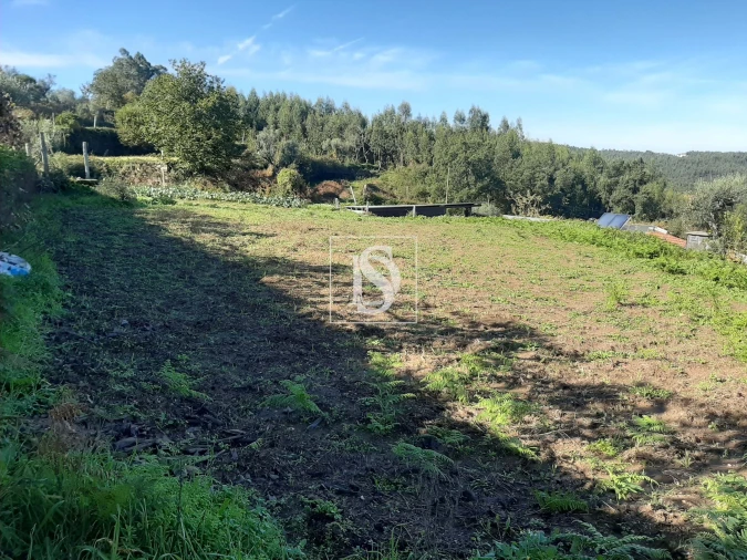 Moradia T3 para Venda em Escariz Foto 18