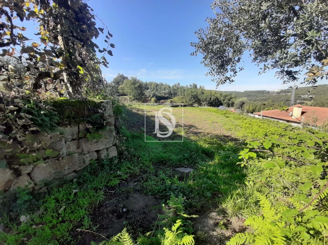 Moradia T3 para Venda em Escariz Foto 21