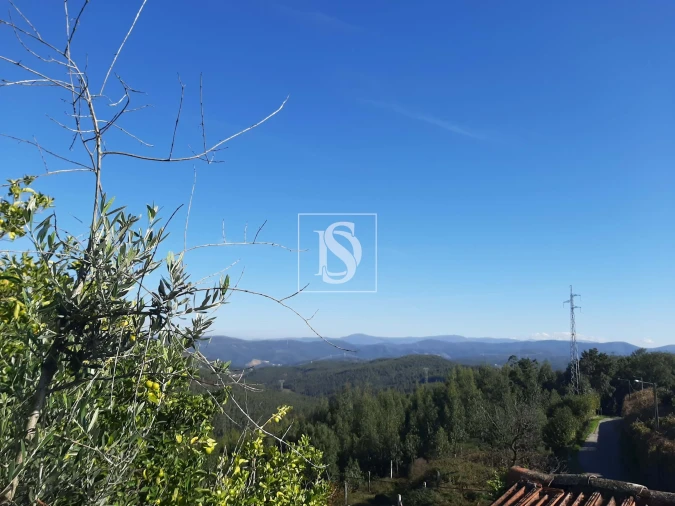 Moradia T3 para Venda em Escariz Foto 23