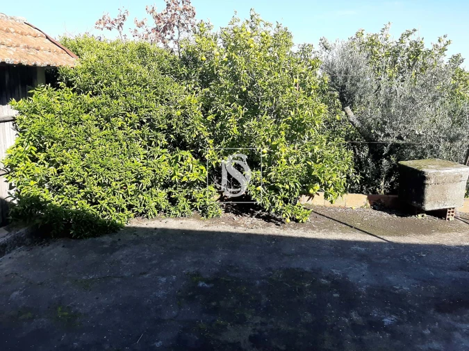 Moradia T3 para Venda em Escariz Foto 22