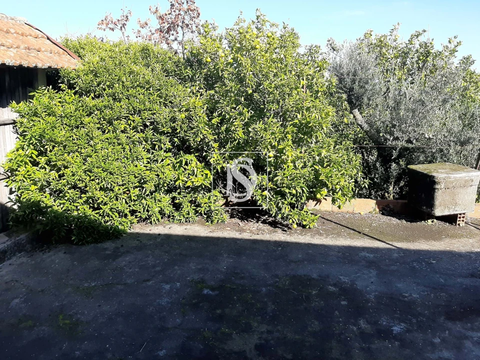 Moradia T3 para Venda em Escariz Foto 22