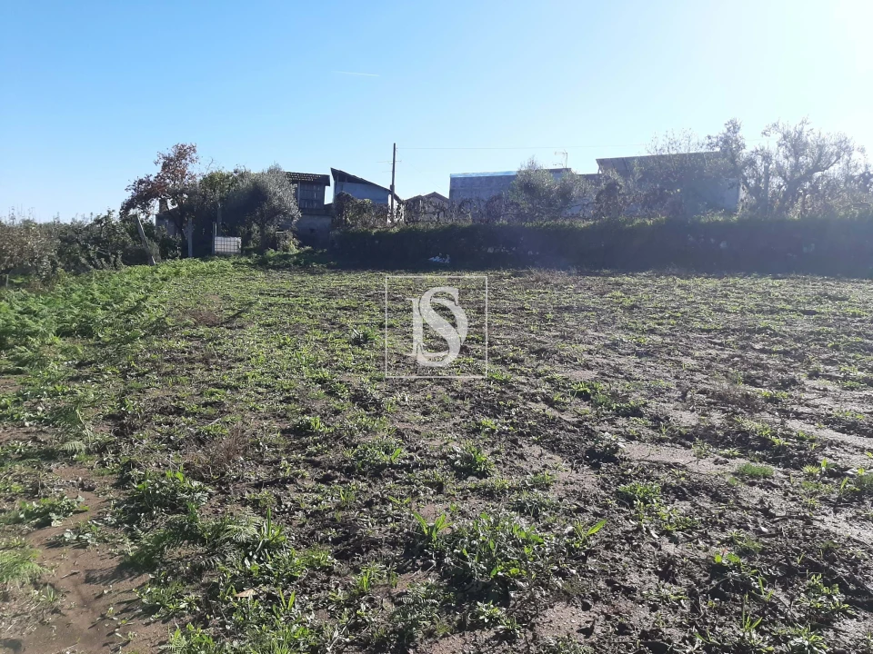 Moradia T3 para Venda em Escariz Foto 20