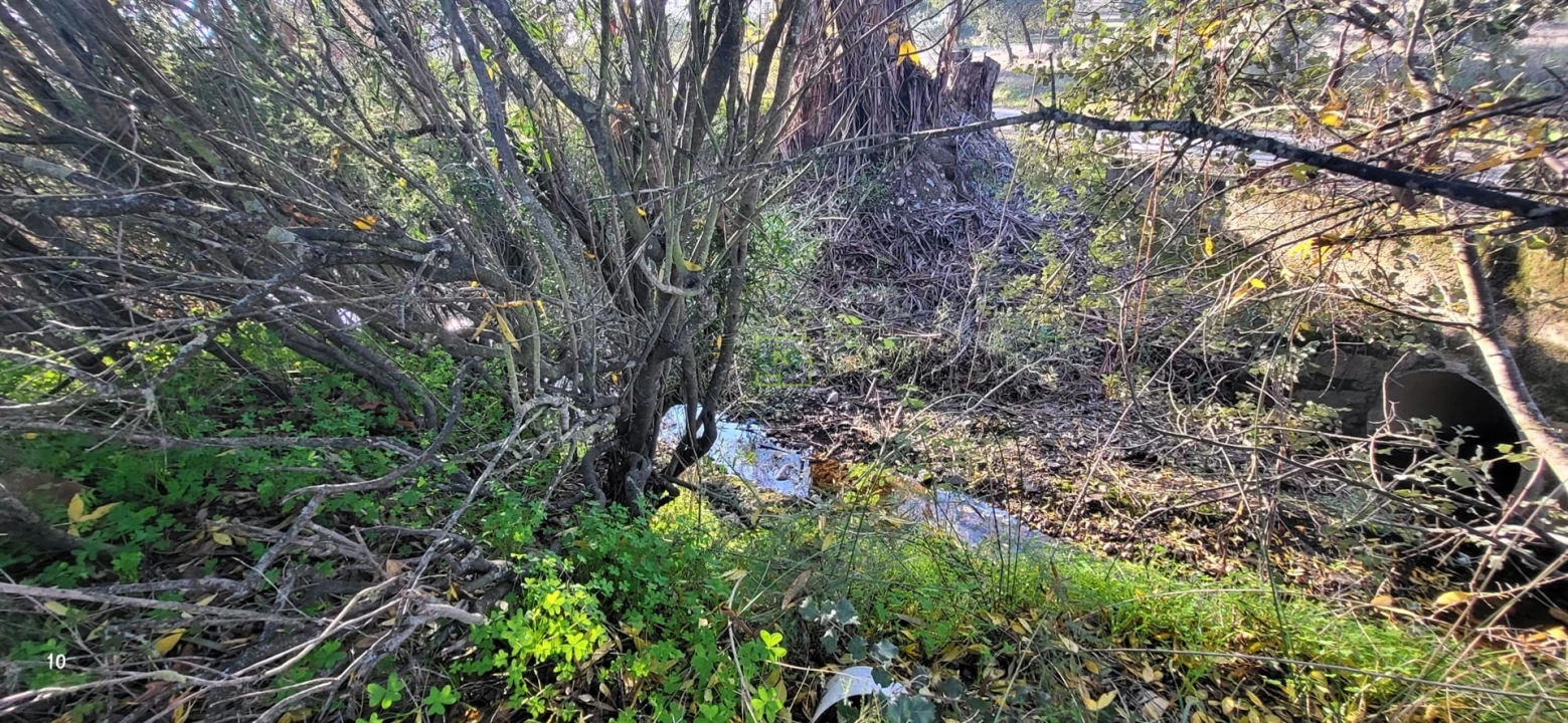 Terreno para Venda em Toulões Foto 17