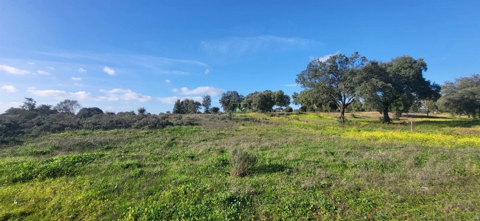 Terreno para Venda em Toulões Foto 14