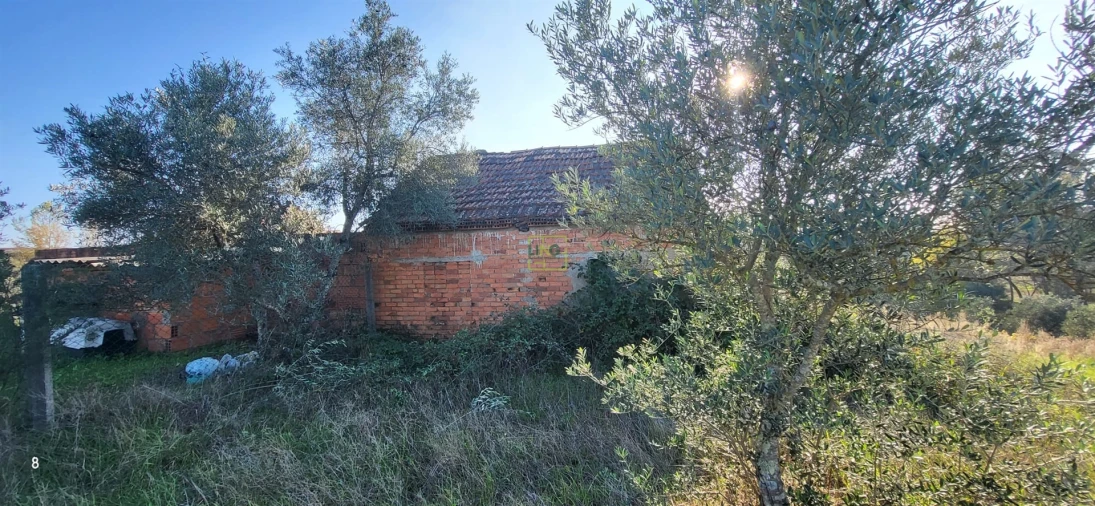 Terreno para Venda em Toulões Foto 6
