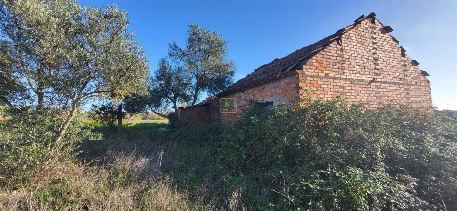 Terreno para Venda em Toulões Foto 5
