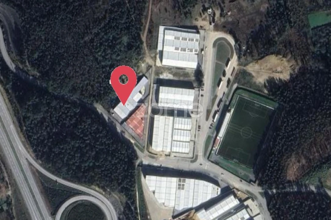 Terreno Comércio / Armazém para Arrendamento em Caldas de São Jorge e Pigeiros Foto 20