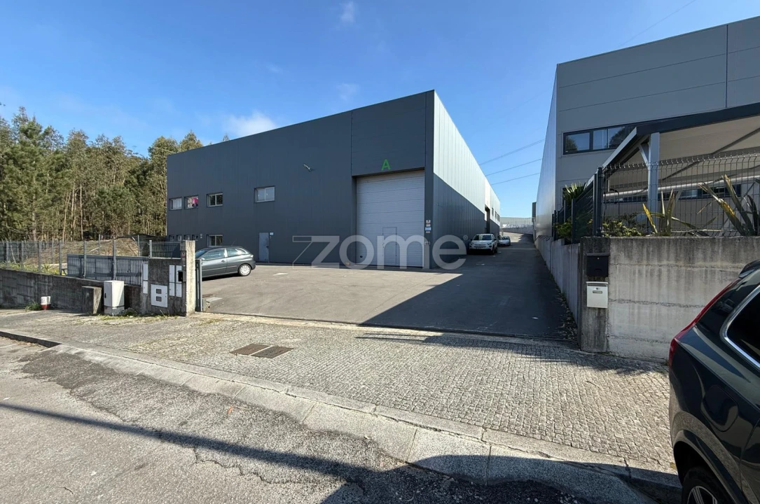 Terreno Comércio / Armazém para Arrendamento em Caldas de São Jorge e Pigeiros Foto 4