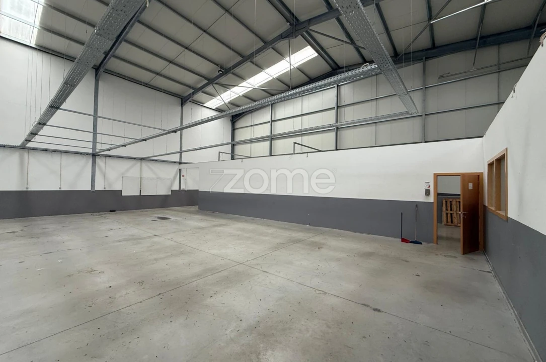 Terreno Comércio / Armazém para Arrendamento em Caldas de São Jorge e Pigeiros Foto 9