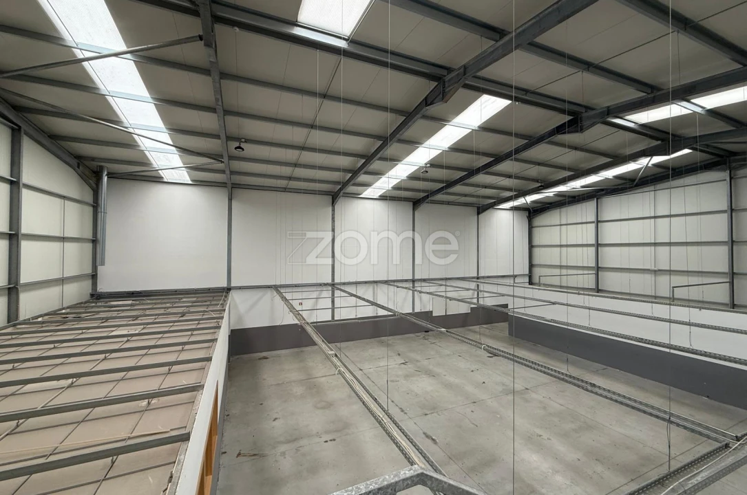 Terreno Comércio / Armazém para Arrendamento em Caldas de São Jorge e Pigeiros Foto 13