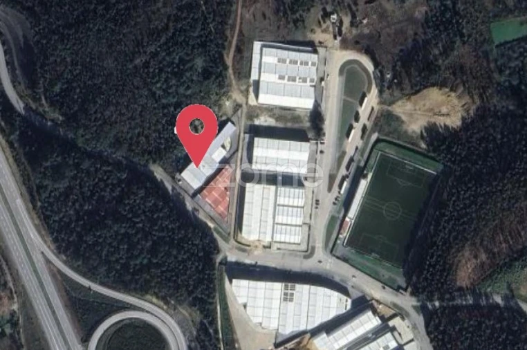 Terreno Comércio / Armazém para Arrendamento em Caldas de São Jorge e Pigeiros Foto 20