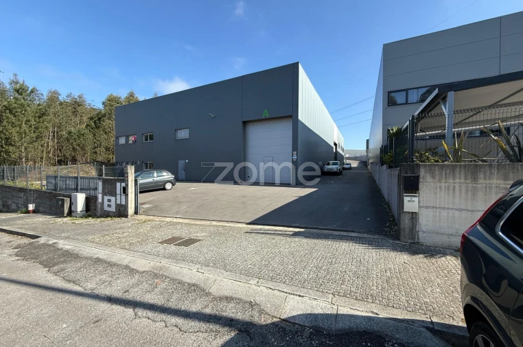 Terreno Comércio / Armazém para Arrendamento em Caldas de São Jorge e Pigeiros Foto 4