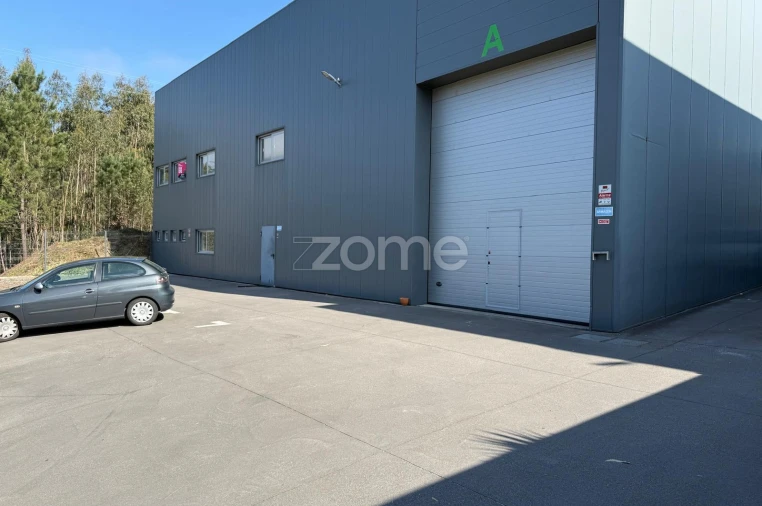 Terreno Comércio / Armazém para Arrendamento em Caldas de São Jorge e Pigeiros Foto 6