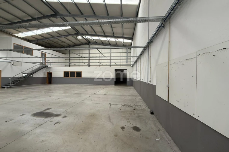 Terreno Comércio / Armazém para Arrendamento em Caldas de São Jorge e Pigeiros Foto 12