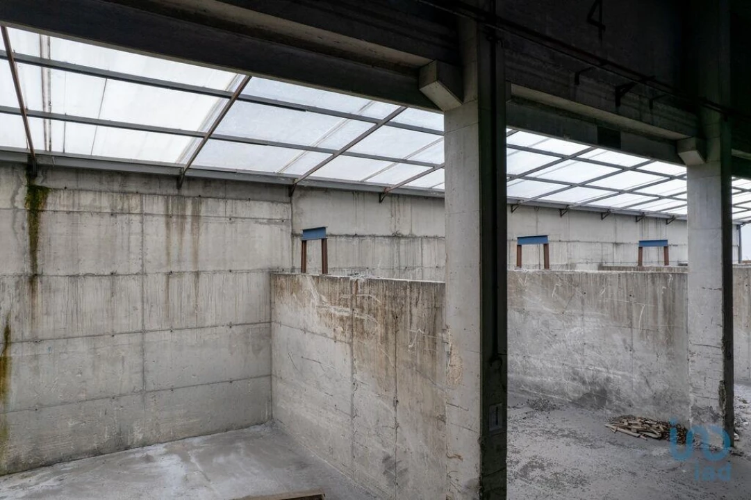 Armazém para Arrendamento em Nogueira do Cravo e Pindelo Foto 7