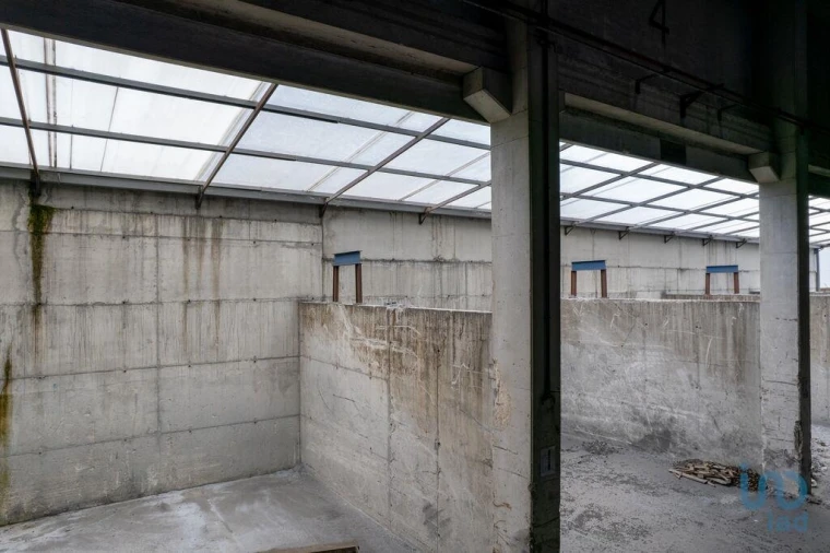 Armazém para Arrendamento em Nogueira do Cravo e Pindelo Foto 7