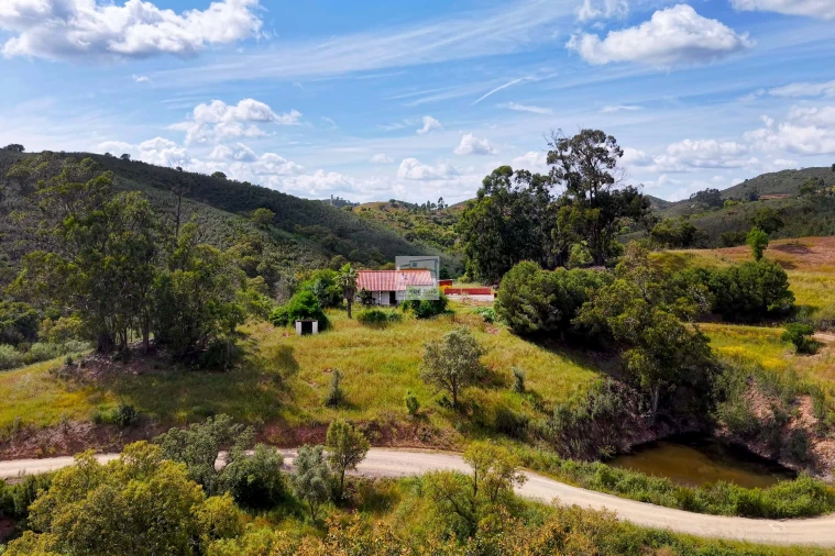 Quinta T2 para Venda em São Bartolomeu de Messines Foto 4