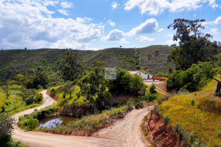 Quinta T2 para Venda em São Bartolomeu de Messines Foto 5