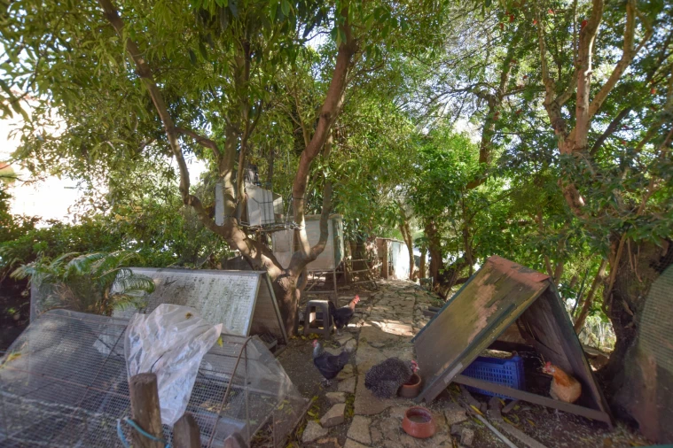 Moradia T3 para Venda em Torres Novas (São Pedro), Lapas e Ribeira Branca Foto 78