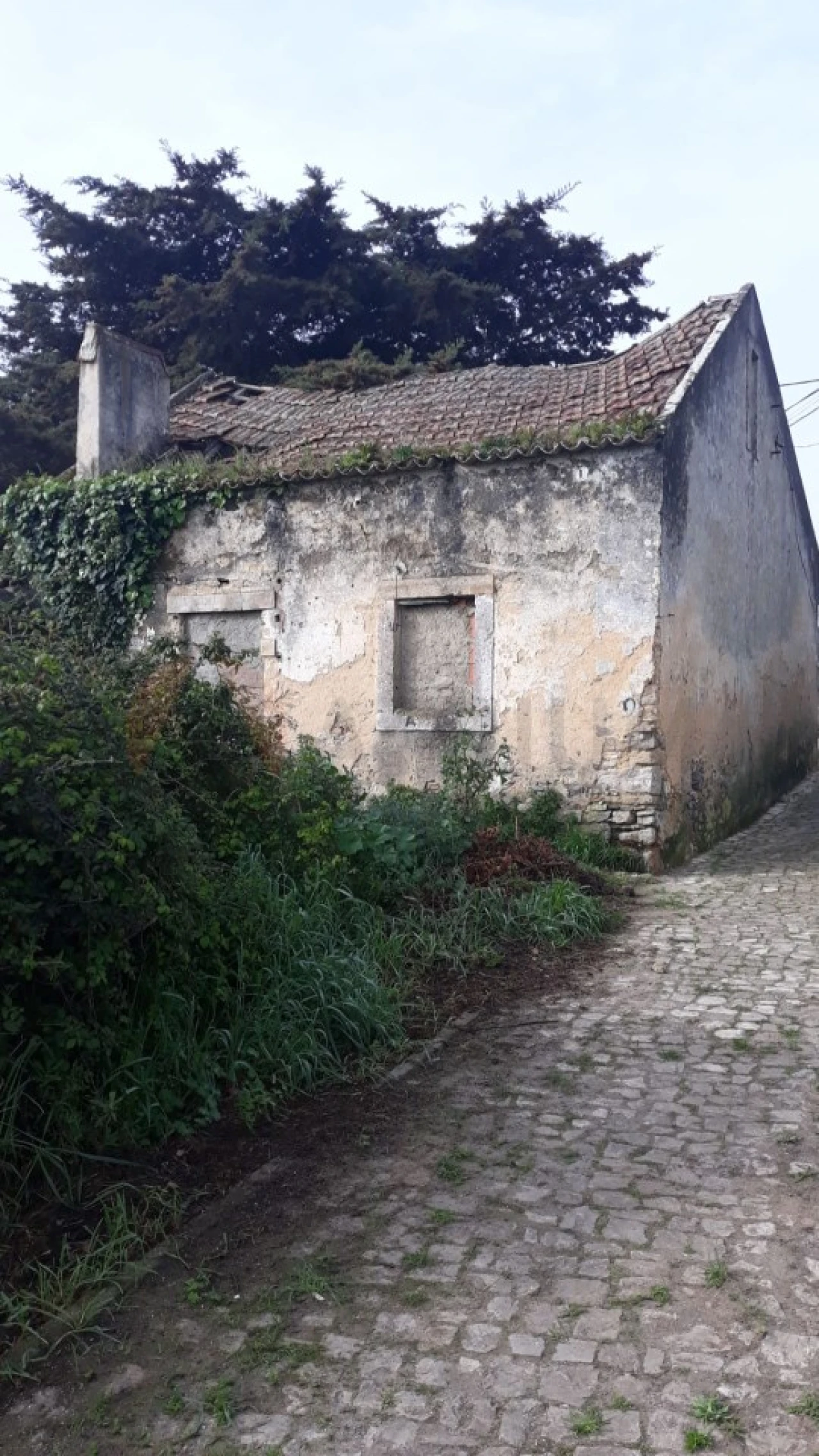 Moradia T2 para Venda em Queluz e Belas Foto 7