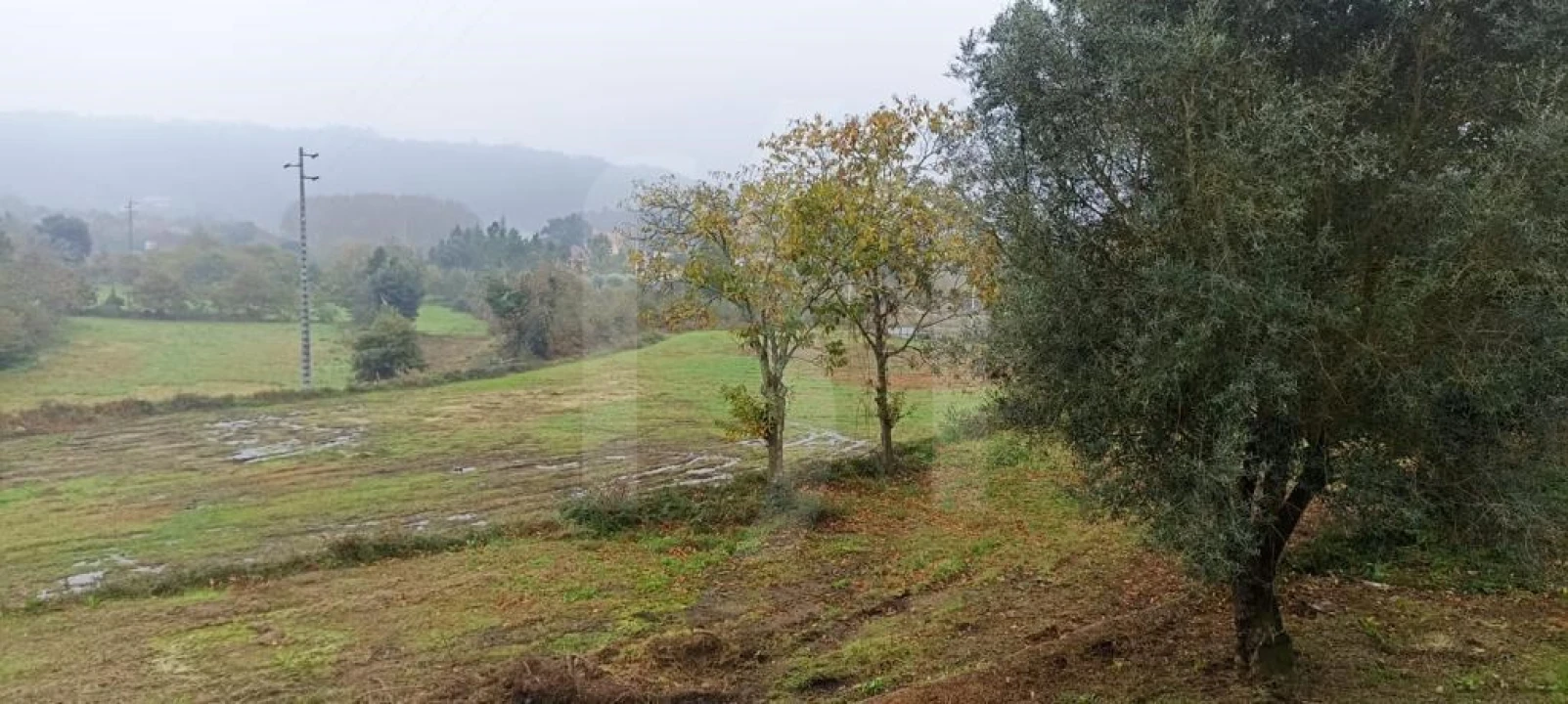 Quinta T3 para Venda em Navió e Vitorino dos Piães Foto 5