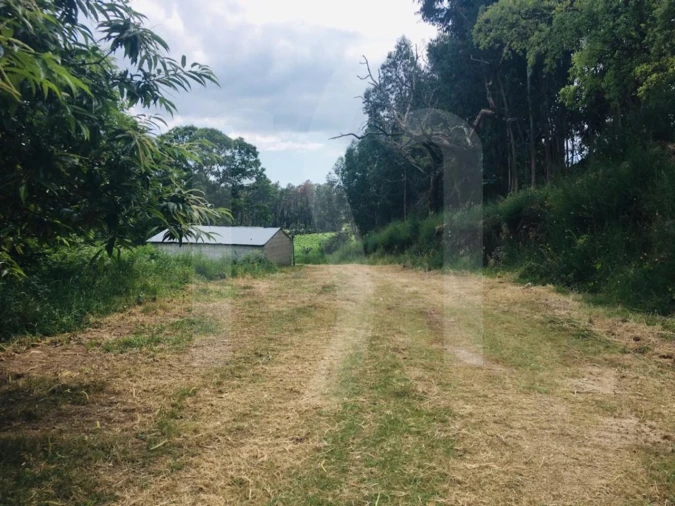Quinta T3 para Venda em Navió e Vitorino dos Piães Foto 3