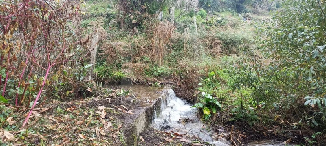 Quinta T3 para Venda em Navió e Vitorino dos Piães Foto 4