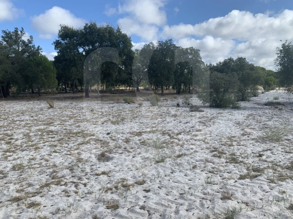 Terreno para Venda em Grândola e Santa Margarida da Serra Foto 10