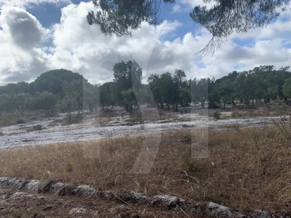 Terreno para Venda em Grândola e Santa Margarida da Serra Foto 18