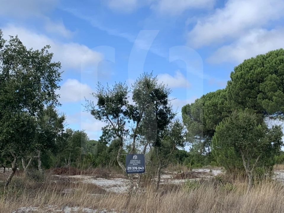 Terreno para Venda em Grândola e Santa Margarida da Serra Foto 9