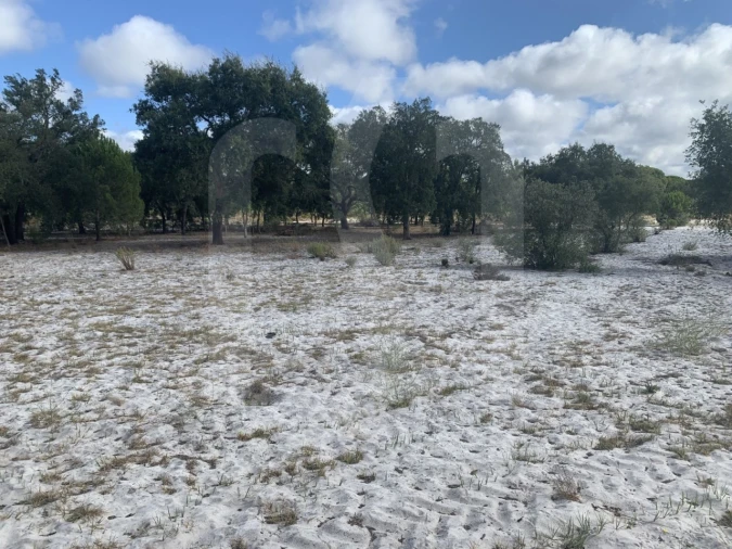 Terreno para Venda em Grândola e Santa Margarida da Serra Foto 10