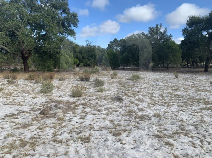 Terreno para Venda em Grândola e Santa Margarida da Serra Foto 11