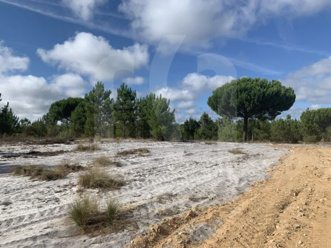 Terreno para Venda em Grândola e Santa Margarida da Serra Foto 13