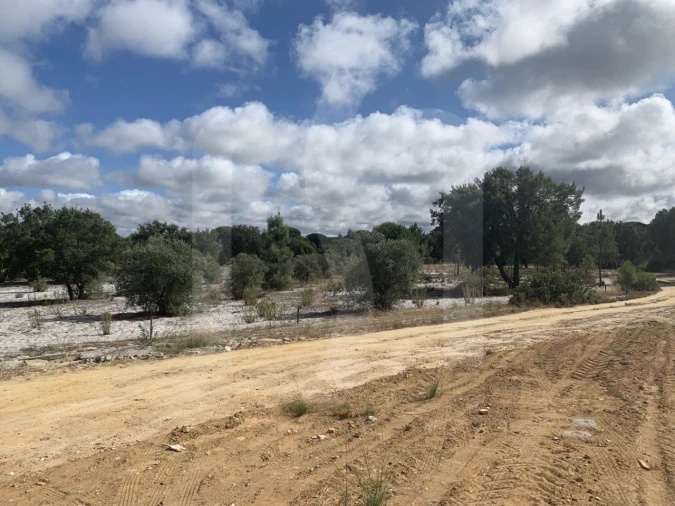 Terreno para Venda em Grândola e Santa Margarida da Serra Foto 16