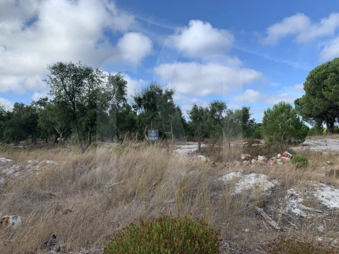 Terreno para Venda em Grândola e Santa Margarida da Serra Foto 19