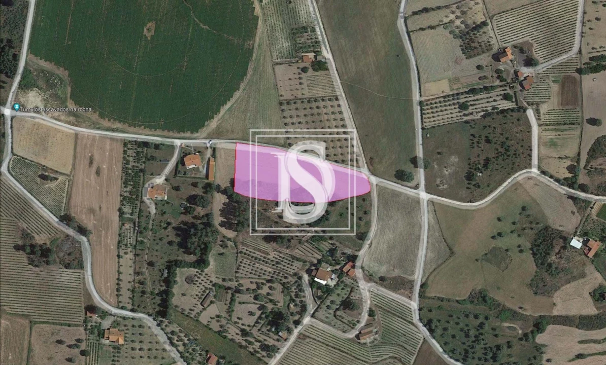 Terreno para Venda em Ferro Foto 12