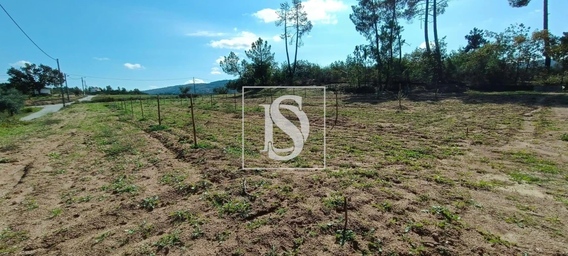 Terreno para Venda em Ferro Foto 5